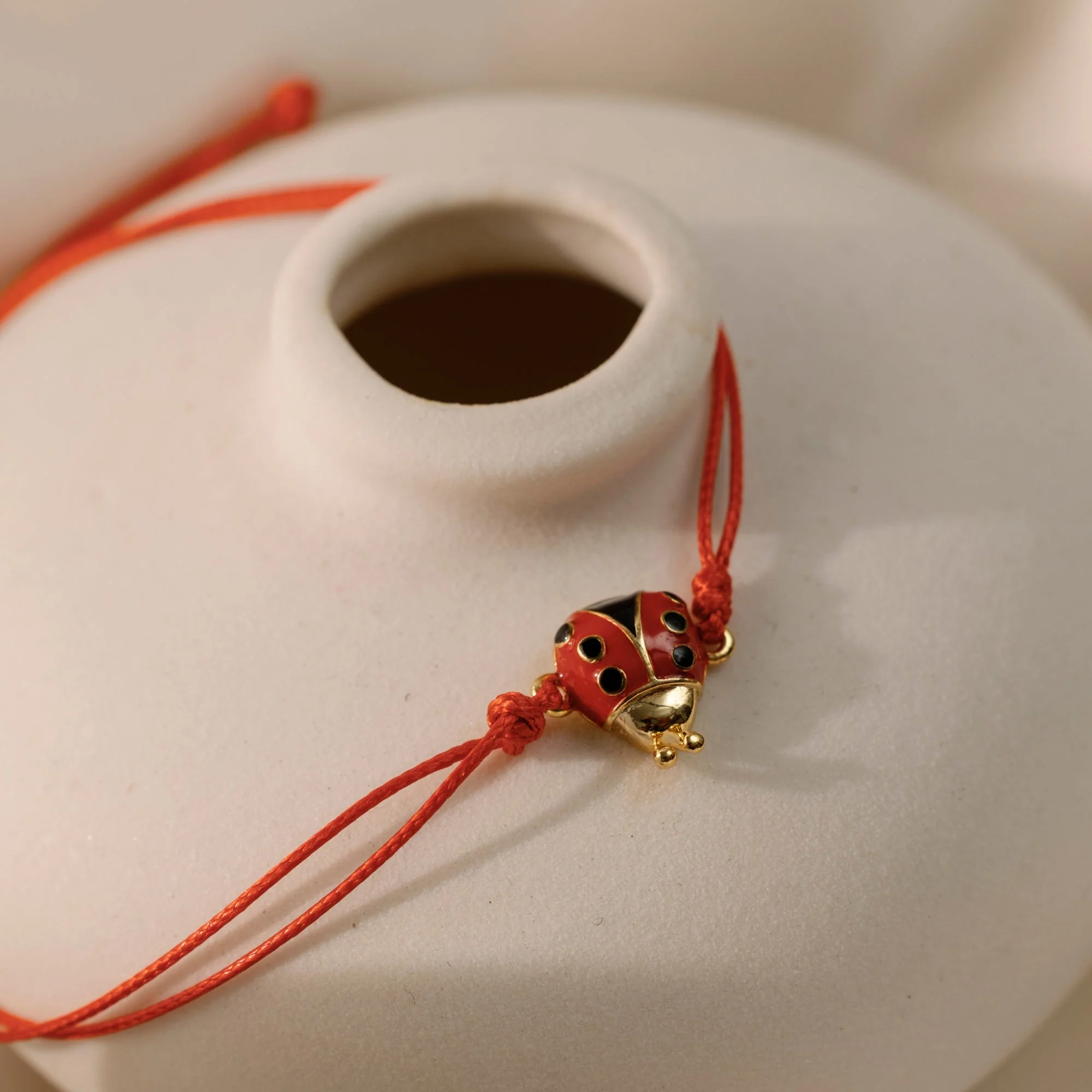 Ladybug - Thread of Blessings - Image 7