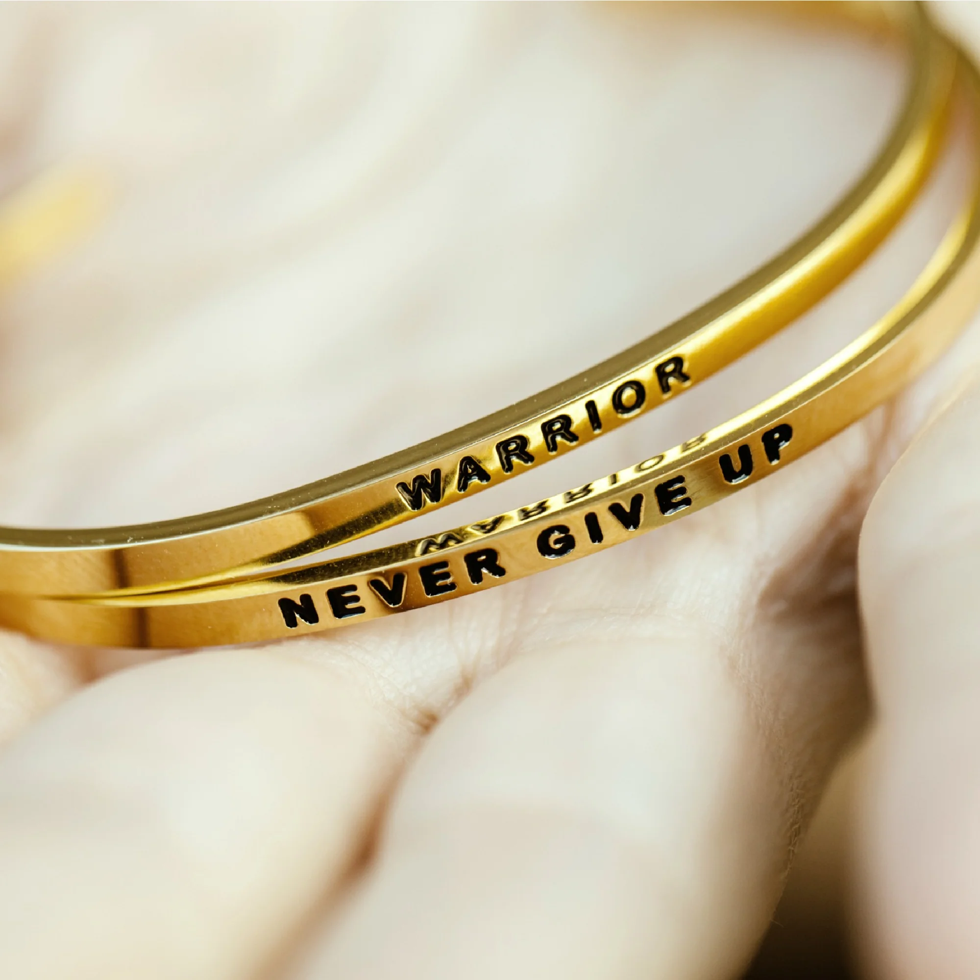 Never Give Up - Image 4